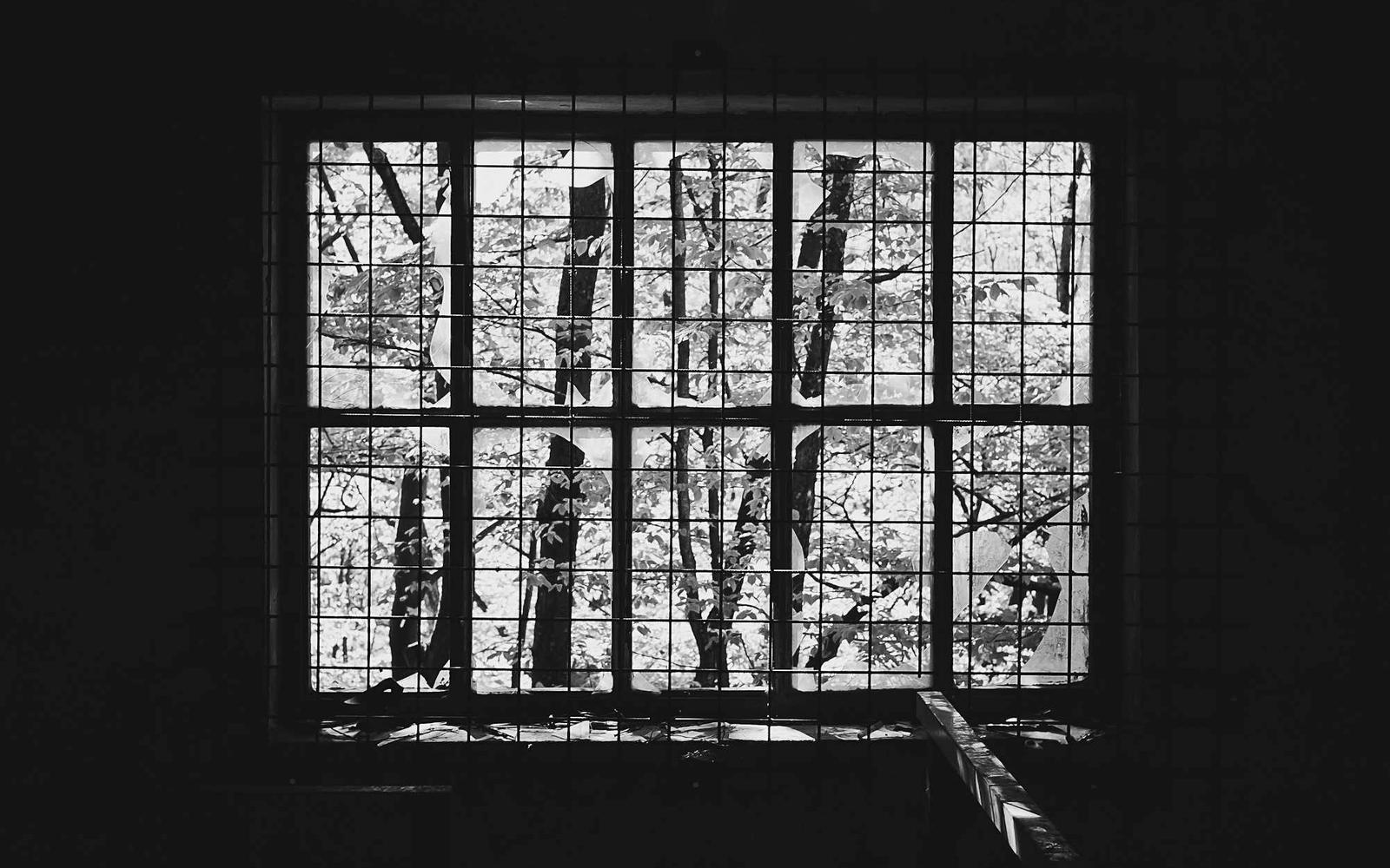 A window in a dark room looking out onto trees